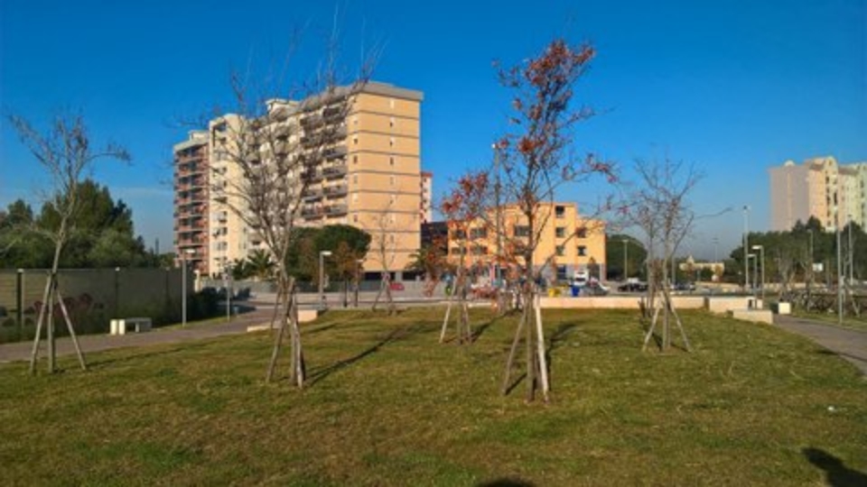 percorso giardino Loseto nuova (2)