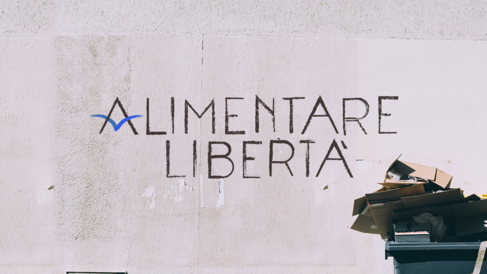 Visuals with Logo – bidoni